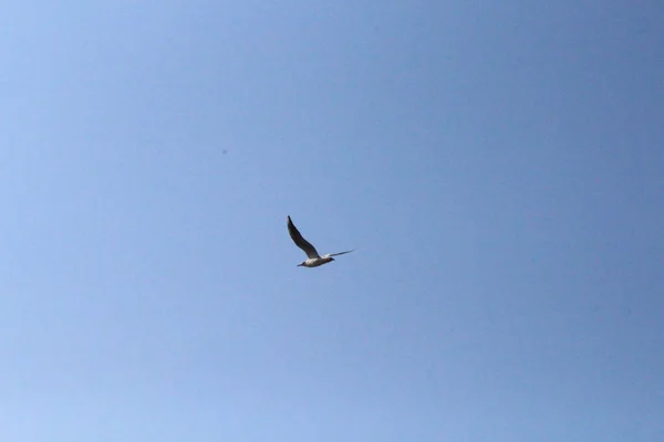 Bel cielo girato durante il giorno in mare . — Foto Stock