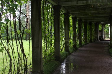 Eski, St. Petersburg'daki Catherine Park. Rusya