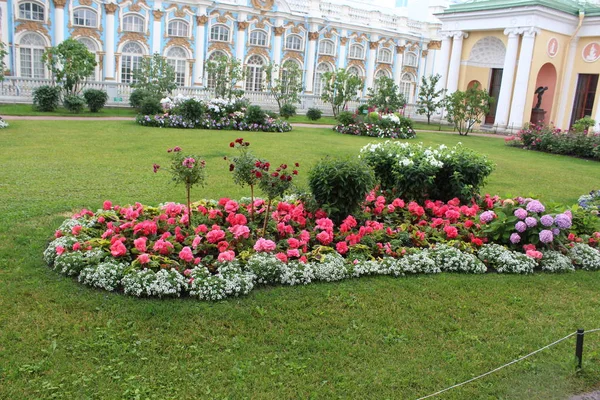 Старый Екатерининский парк в Санкт-Петербурге. Россия — стоковое фото