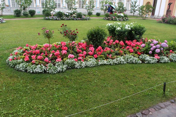 Старий, Кетрін парк в Санкт-Петербурзі. Росія — стокове фото