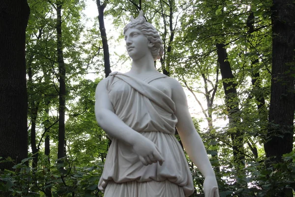 Statues dans le parc d'été de Saint-Pétersbourg . — Photo