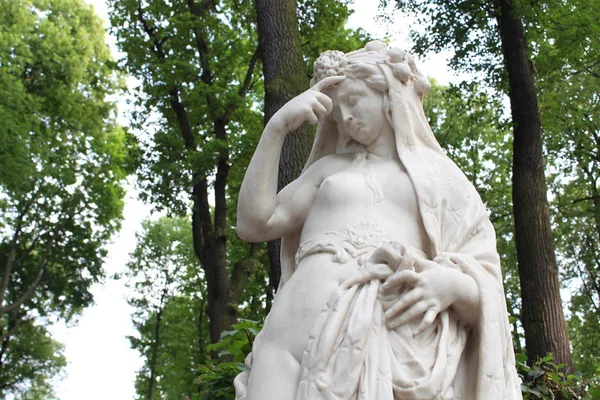 Estatuas en el parque de verano en San Petersburgo . — Foto de Stock