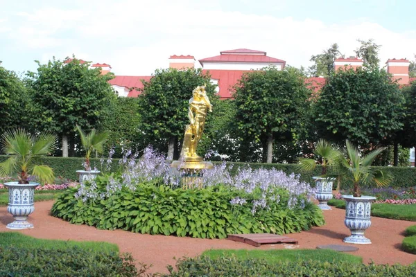 彼得霍夫，俄罗斯，2019年7月23日。宫殿建筑群中的金色雕像和喷泉 — 图库照片