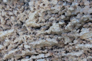 Farklı boyutlarda ve topraktaşlar, güzel arka plan.