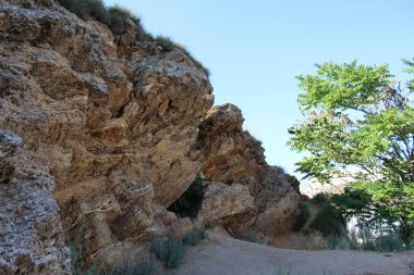 Farklı boyutlarda ve topraktaşlar, güzel arka plan.