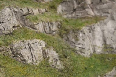 büyük kayalık dağlar. Doku, arka plan, Doğa, toprak.