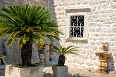 Bir otantik ev taş gri bir duvar ile ve güzel eski cam metal ızgara ile. Usteny yeşil bitki, arka plan. Karadağ
