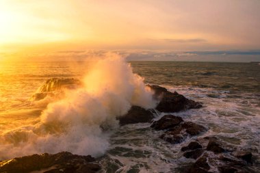 Deniz manzarası. Atlantik Okyanusu bir kayaya günbatımında çökmesini dalgaları. Portuga