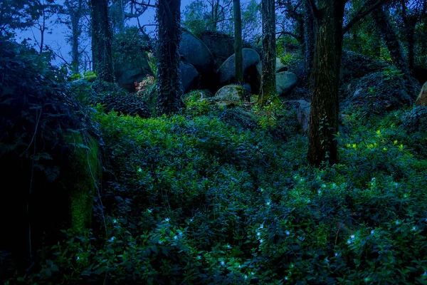 Landskap Älva Magiska Mystiska Mörka Skrämmande Skog Sintra Portugal — Stockfoto