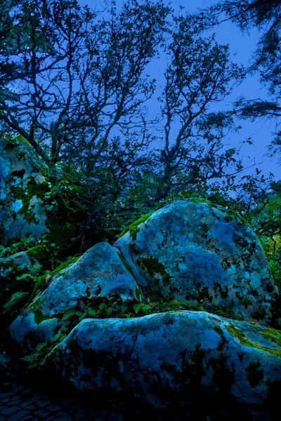 Landskap Älva Magiska Mystiska Mörka Skrämmande Skog Sintra Portugal — Stockfoto