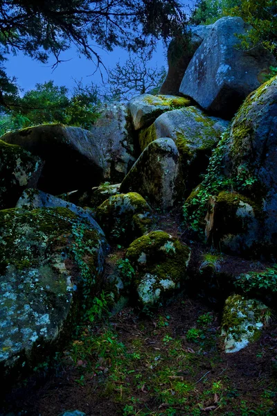 Landscape Fairy Magical Mysterious Dark Scary Forest Sintra Portugal — Stock Photo, Image