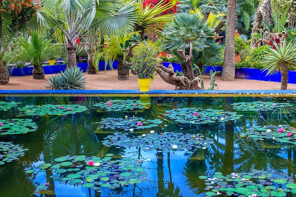The Majorelle Garden is a botanical garden and artist's landscape garden in Marrakech — Stock Photo, Image