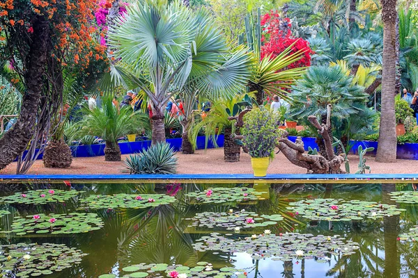 Ogród botaniczny Majorelle Garden i ogród krajobrazowy artysty w Marrakeszu — Zdjęcie stockowe