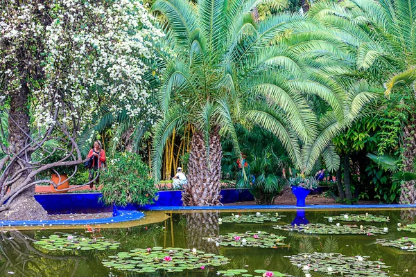 Ogród botaniczny Majorelle Garden i ogród krajobrazowy artysty w Marrakeszu — Zdjęcie stockowe