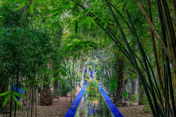 The Majorelle Garden is a botanical garden and artist 's landscape garden in Marrakech — стоковое фото
