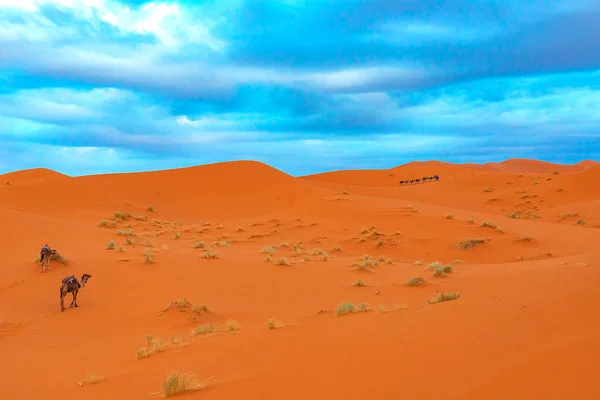 Sunrise in the western part of the Sahara Desert in Morocco. — Stock Photo, Image