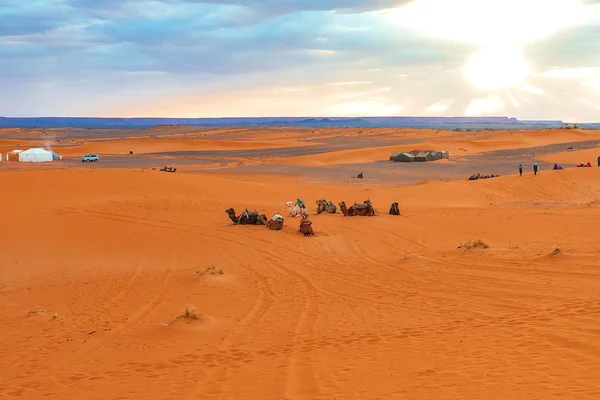 Sunrise in the western part of the Sahara Desert in Morocco. — Stock Photo, Image