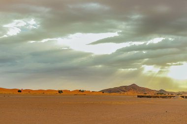 Hamada du Draa, ön planda Fas taş çöl, arka planda dağlar, Fas