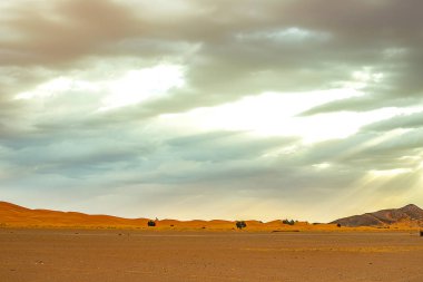 Hamada du Draa, ön planda Fas taş çöl, arka planda dağlar, Fas