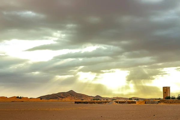 Hamada du Draa, марокканская каменная пустыня на переднем плане, горы на заднем плане, Марокко — стоковое фото