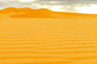 Sahra Çölü 'nde güzel kum tepeleri.