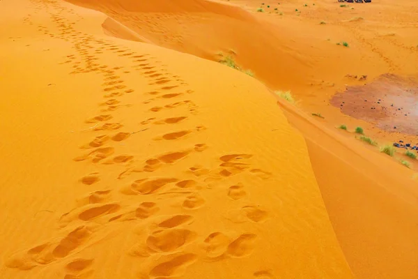 Climbing sand dunes, footprints in the sand, sunrise, Sahara Desert, Morocco — Stock Photo, Image