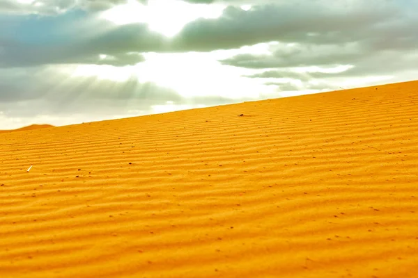 Mooie zandduinen in de Sahara woestijn. — Stockfoto