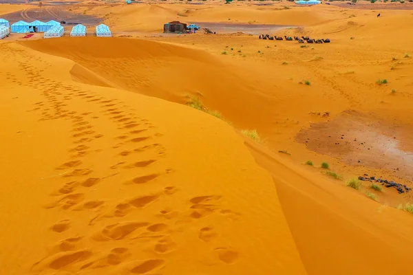 Belle dune di sabbia nel deserto del Sahara. — Foto Stock