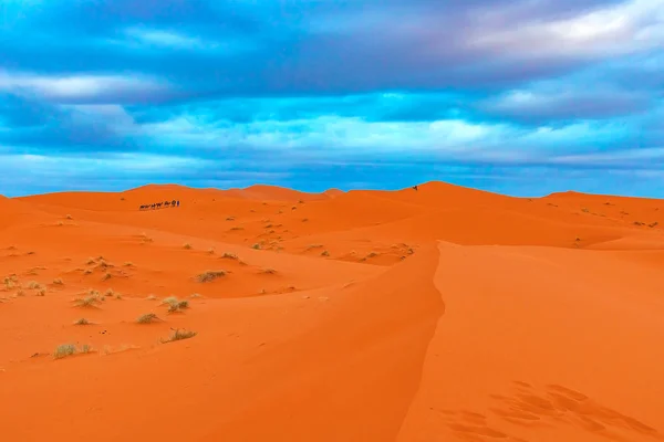 Belle dune di sabbia nel deserto del Sahara. — Foto Stock