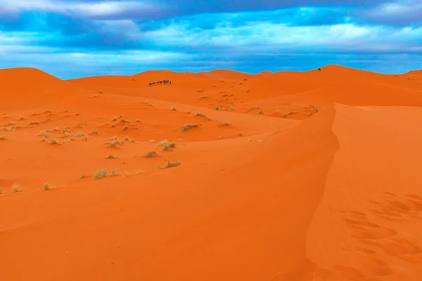 Belle dune di sabbia nel deserto del Sahara. — Foto Stock