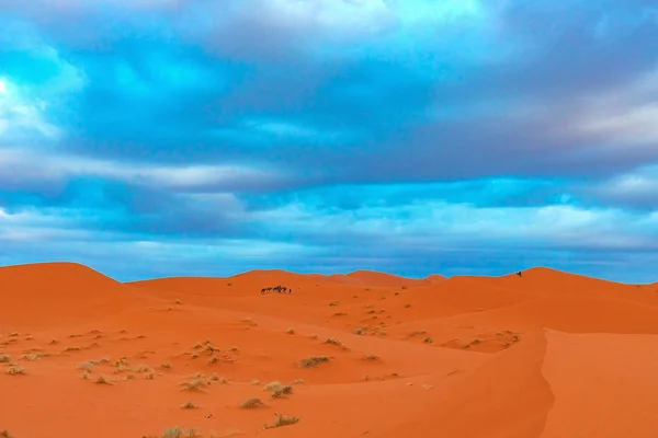 Красивые песчаные дюны пустыни Сахара. — стоковое фото
