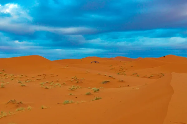Belas dunas de areia no deserto do Saara. — Fotografia de Stock