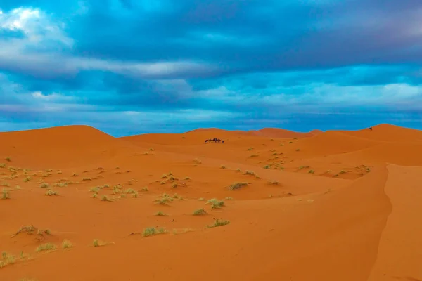 Mooie zandduinen in de Sahara woestijn. — Stockfoto