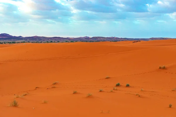 Mooie zandduinen in de Sahara woestijn. — Stockfoto