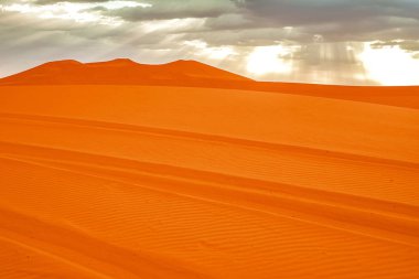 Sahra Çölü 'nde güzel kum tepeleri.