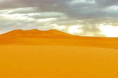 Sahra Çölü'nde gün doğumunda güzel kum tepeleri. Fas