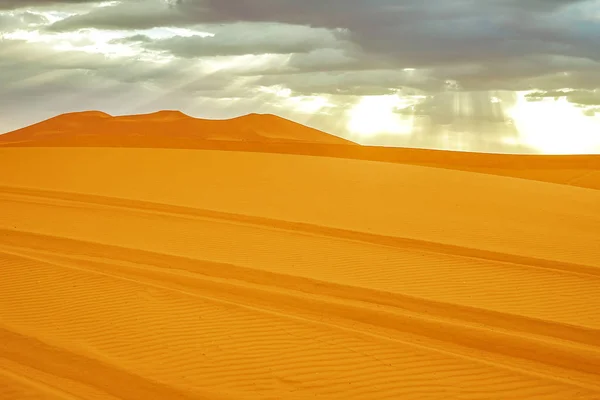 Beautiful sand dunes in the Sahara desert. — Stock Photo, Image