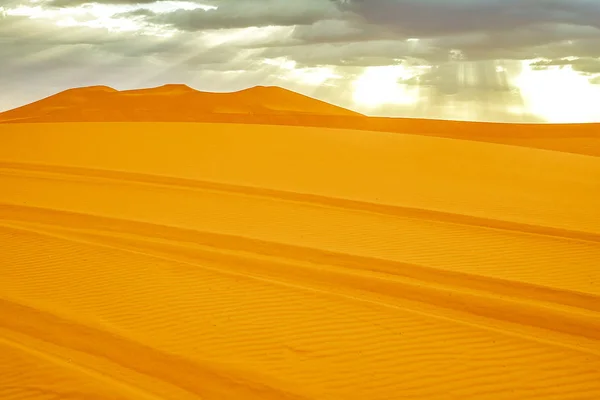 Mooie zandduinen in de Sahara woestijn. — Stockfoto