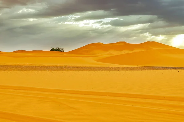 Mooie zandduinen in de Sahara woestijn. — Stockfoto