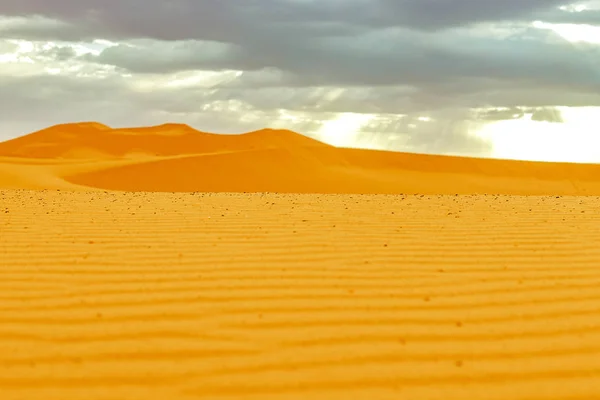 Prachtige zandduinen bij zonsopgang in de Sahara woestijn. Marokko — Stockfoto