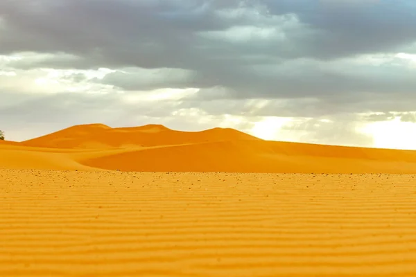 Hermosas dunas de arena al amanecer en el desierto del Sahara. Marruecos — Foto de Stock
