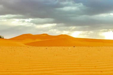 Sahra Çölü'nde gün doğumunda güzel kum tepeleri. Fas