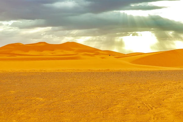 Mooie zandduinen in de Sahara woestijn. — Stockfoto