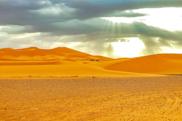 Mooie zandduinen in de Sahara woestijn. — Stockfoto