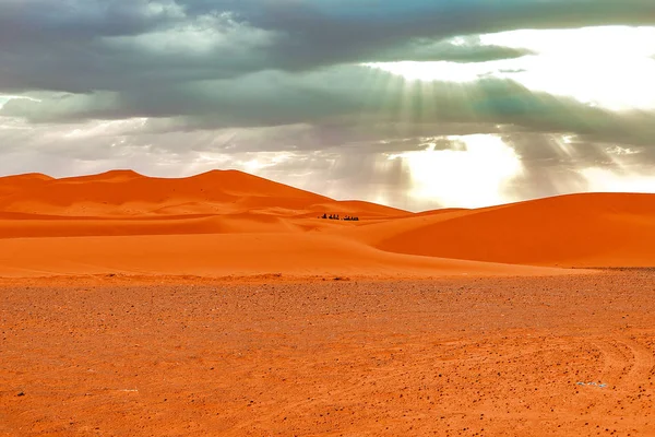 Hermosas dunas de arena al amanecer en el desierto del Sahara. Marruecos — Foto de Stock