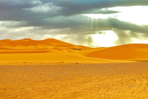 Caravana atravesando las dunas del desierto del Sahara — Foto de Stock