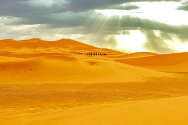 Sahara çöl kumulları geçmekte karavan