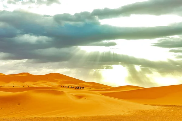 Megy keresztül, a homokdűnék a Szahara sivatagban karaván — Stock Fotó