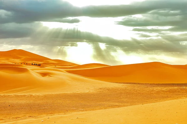 Caravan gaan door de zandduinen in de Sahara woestijn — Stockfoto
