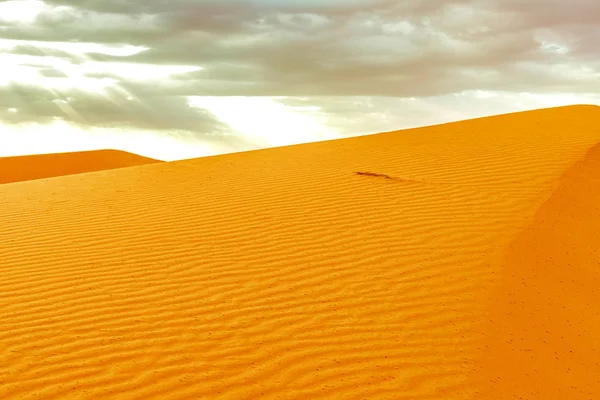 Belas dunas de areia ao nascer do sol no deserto do Saara. Marrocos — Fotografia de Stock